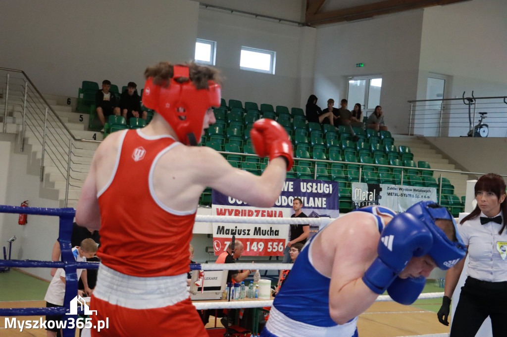 Fotorelacja: Turniej Bokserski 
