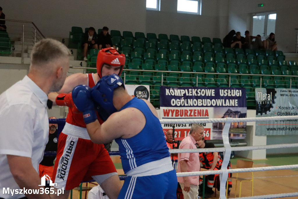 Fotorelacja: Turniej Bokserski 