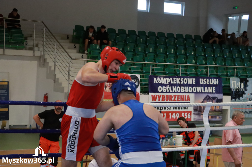 Fotorelacja: Turniej Bokserski 