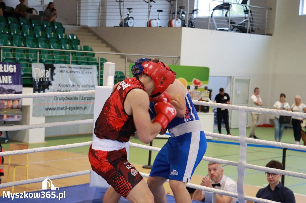 Fotorelacja: Turniej Bokserski 