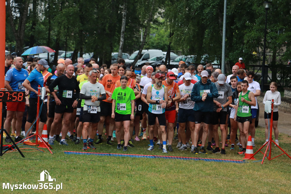 Fotorelacja: 45. Bieg V Stawów w Myszkowie cz. 1