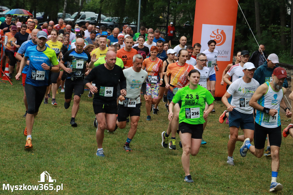 Fotorelacja: 45. Bieg V Stawów w Myszkowie cz. 1