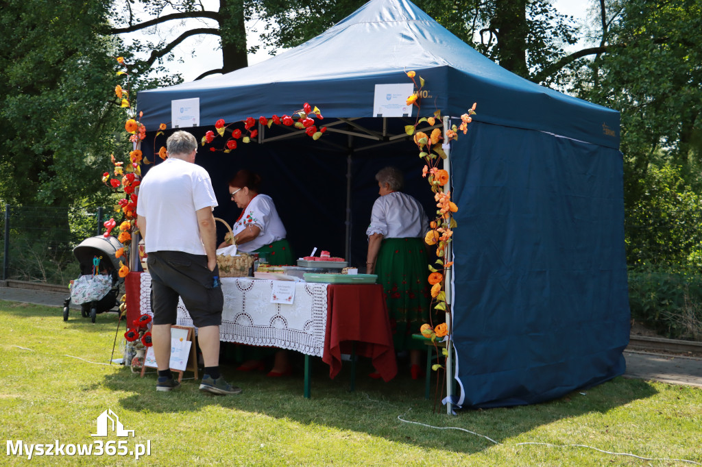 Fotorelacja: Radio Katowice w Koziegłowach!