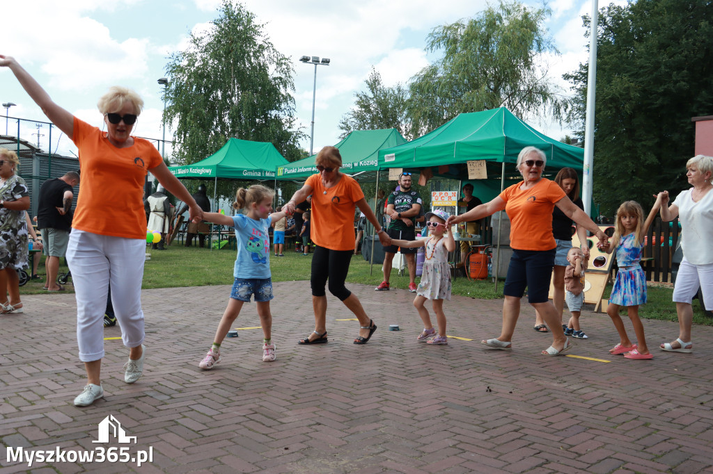 Fotorelacja: Piknik 