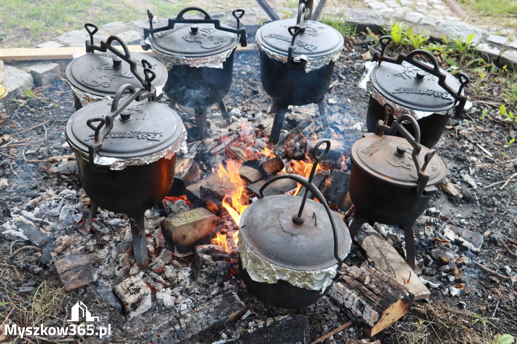 Fotorelacja: Piknik 