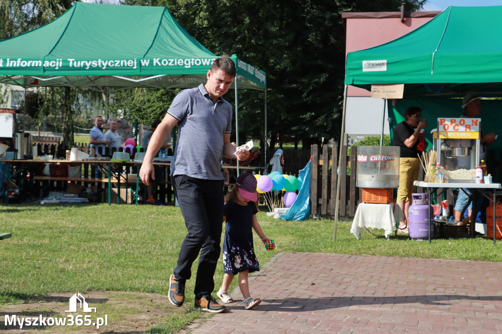 Fotorelacja: Piknik 