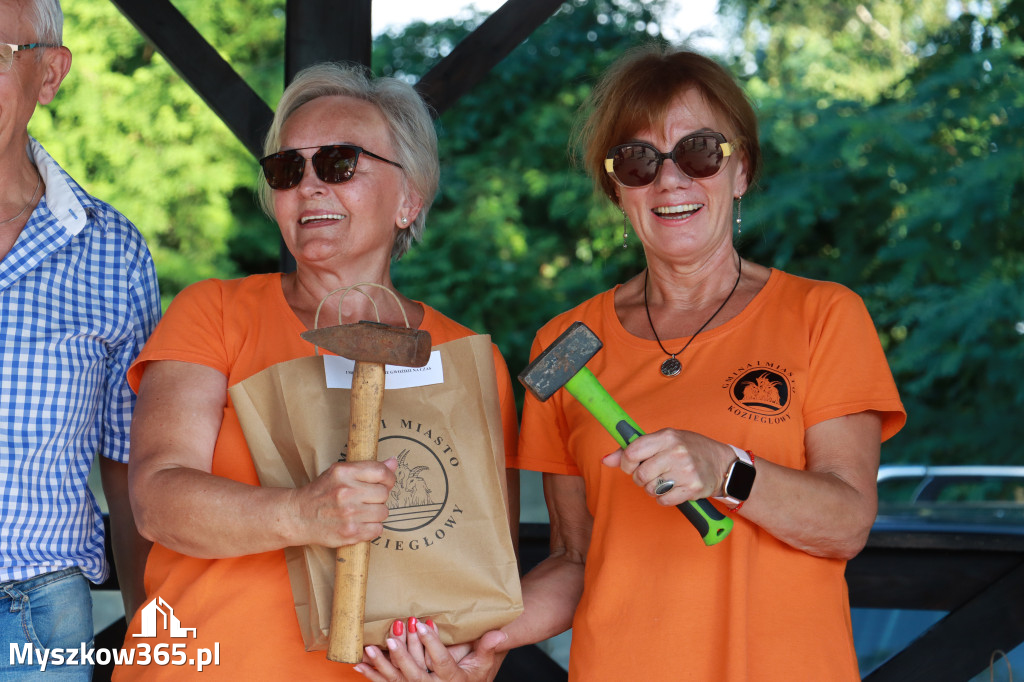 Fotorelacja: Piknik 