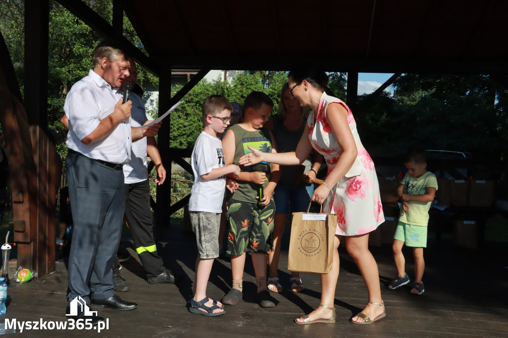 Fotorelacja: Piknik 