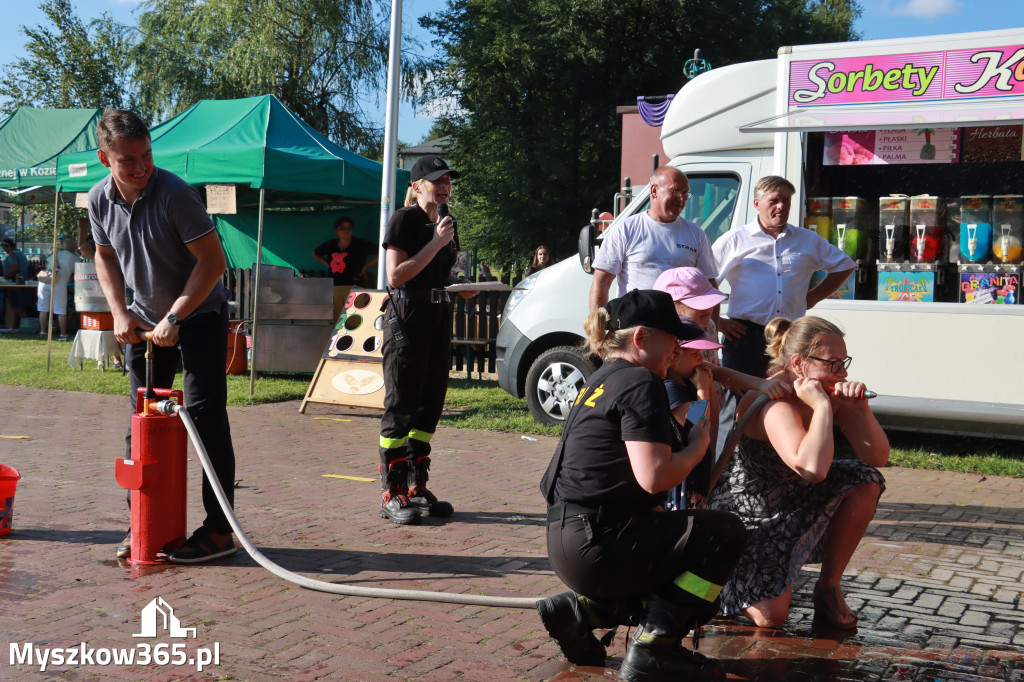 Fotorelacja: Piknik 