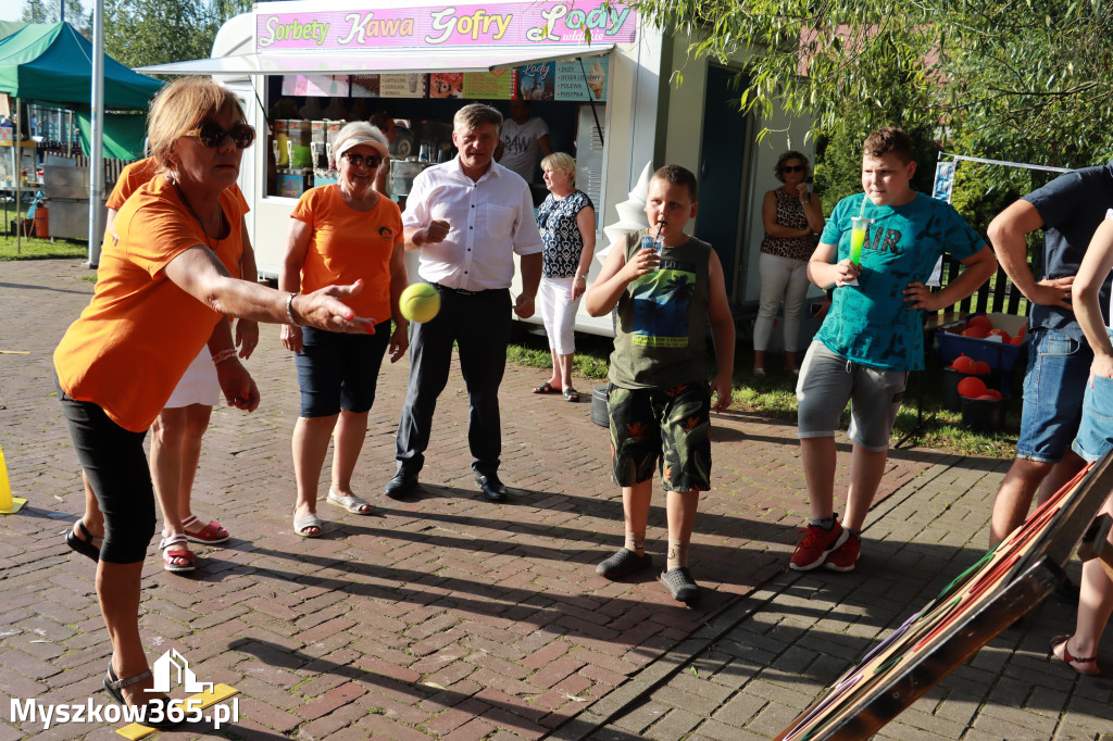 Fotorelacja: Piknik 