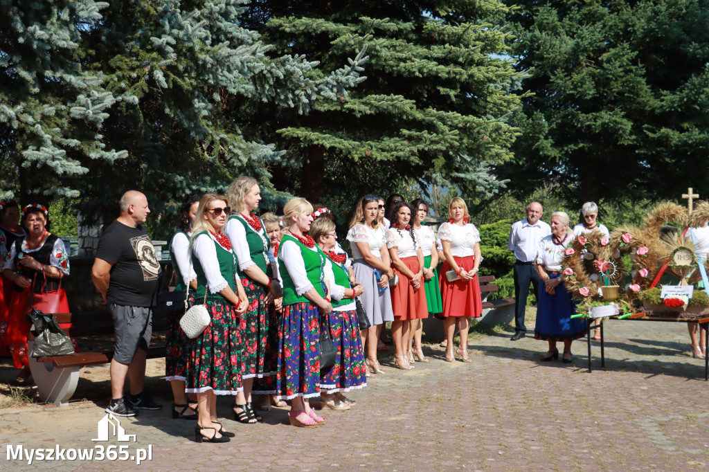 Fotorelacja Niegowa I: Dożynki Powiatowo Gminne