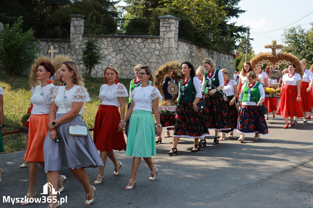 Fotorelacja Niegowa I: Dożynki Powiatowo Gminne