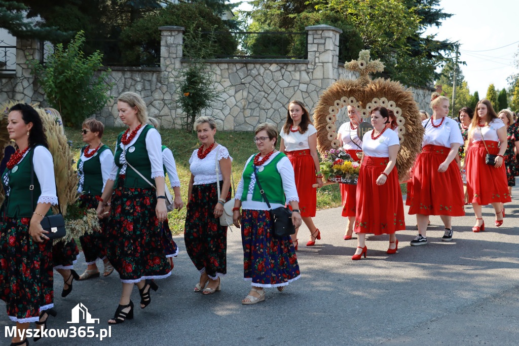 Fotorelacja Niegowa I: Dożynki Powiatowo Gminne