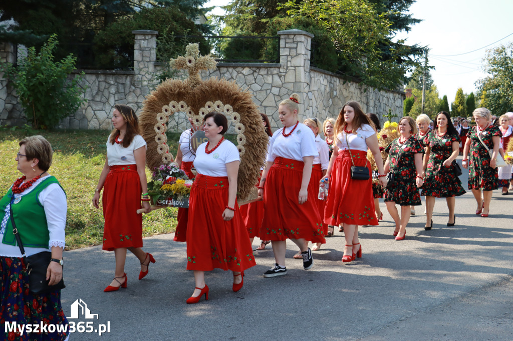 Fotorelacja Niegowa I: Dożynki Powiatowo Gminne