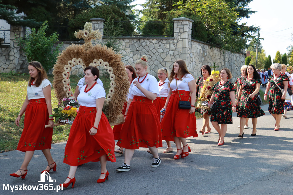 Fotorelacja Niegowa I: Dożynki Powiatowo Gminne