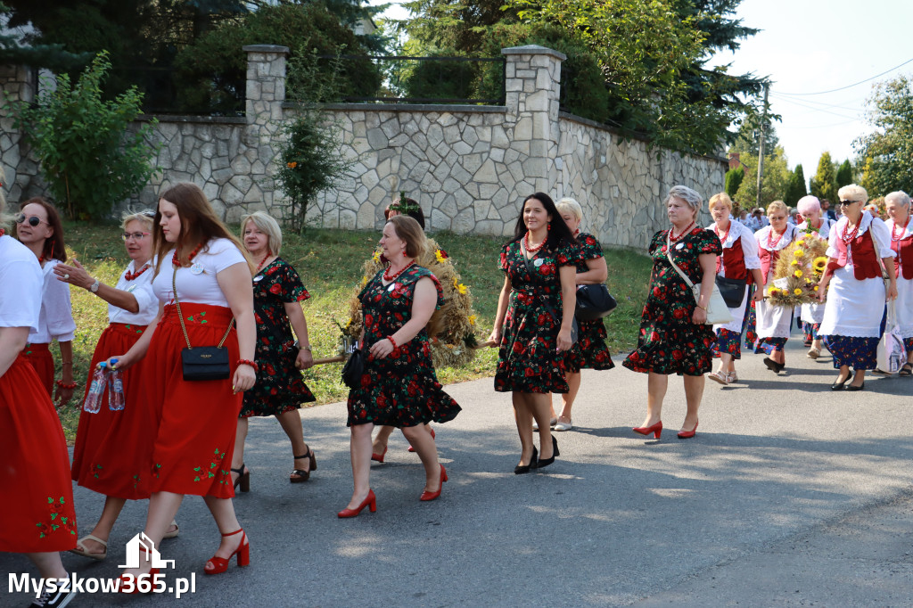 Fotorelacja Niegowa I: Dożynki Powiatowo Gminne