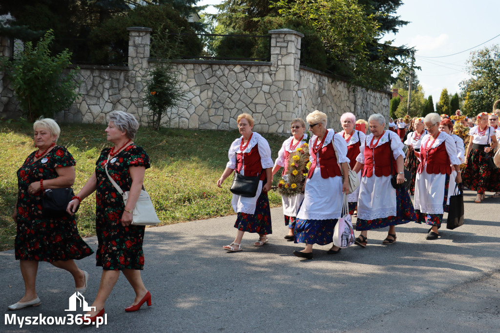 Fotorelacja Niegowa I: Dożynki Powiatowo Gminne