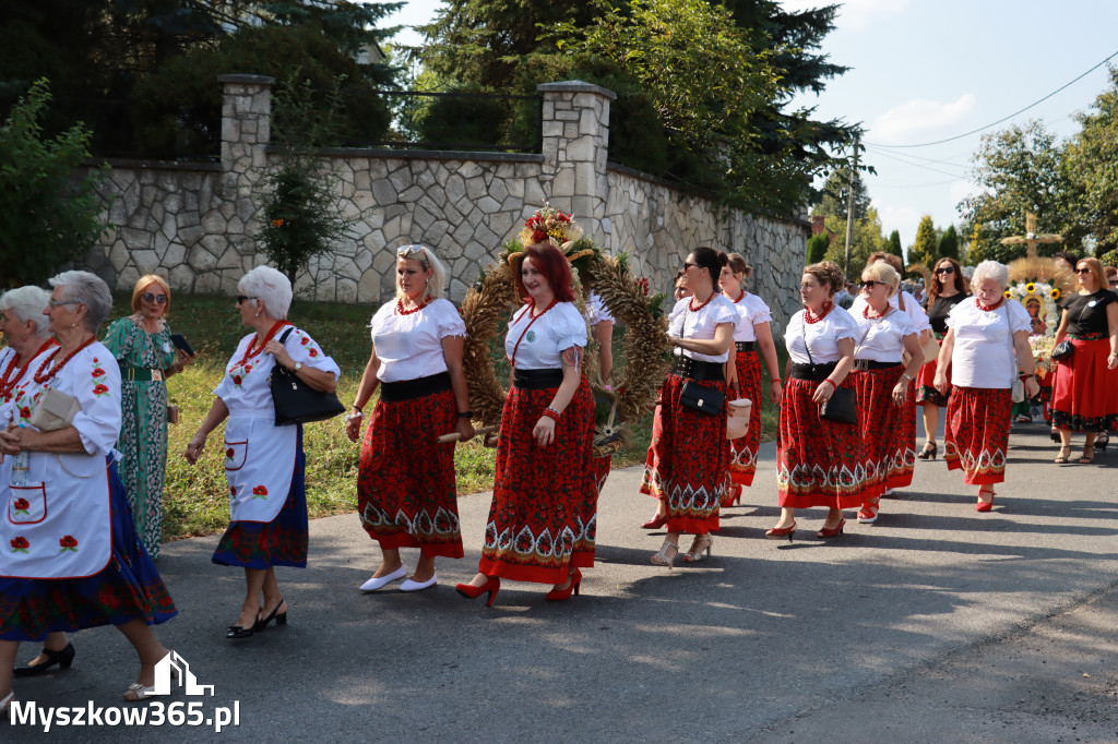 Fotorelacja Niegowa I: Dożynki Powiatowo Gminne