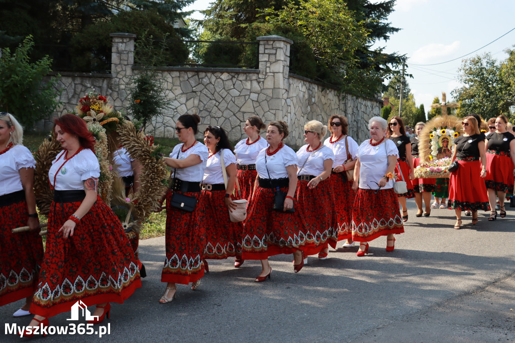 Fotorelacja Niegowa I: Dożynki Powiatowo Gminne