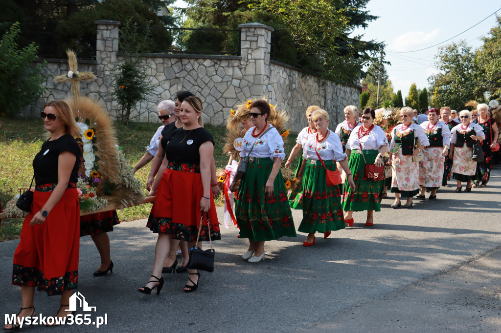 Fotorelacja Niegowa I: Dożynki Powiatowo Gminne