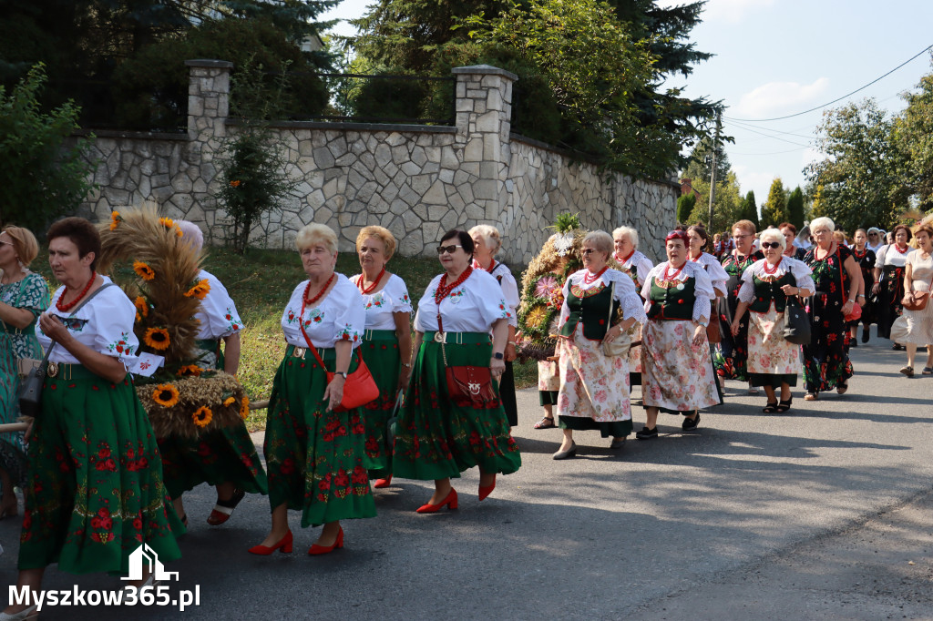 Fotorelacja Niegowa I: Dożynki Powiatowo Gminne