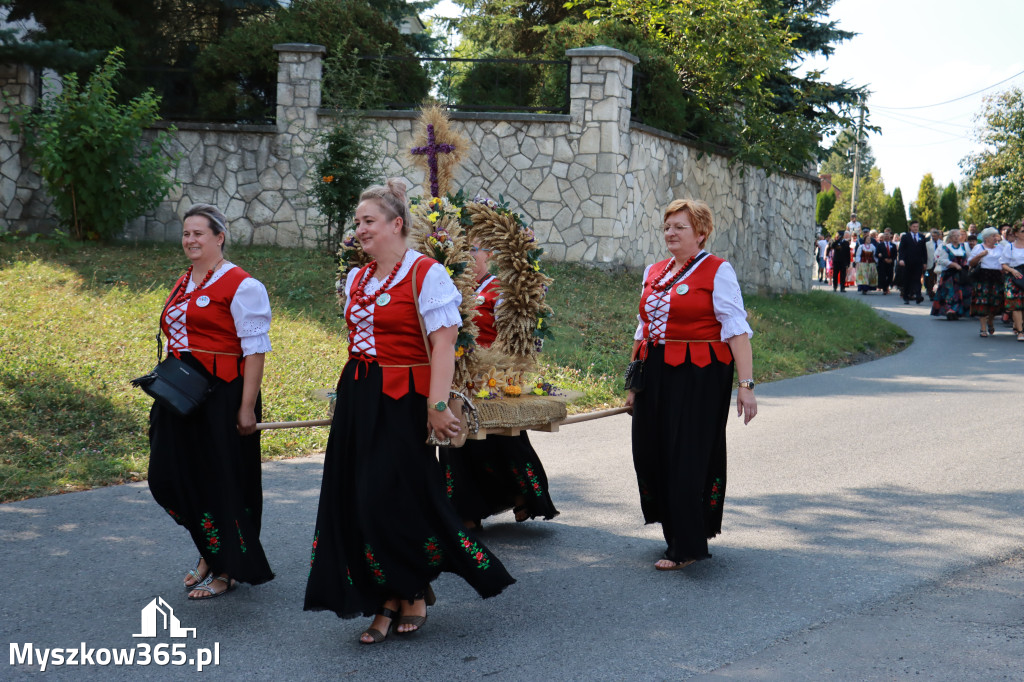 Fotorelacja Niegowa I: Dożynki Powiatowo Gminne