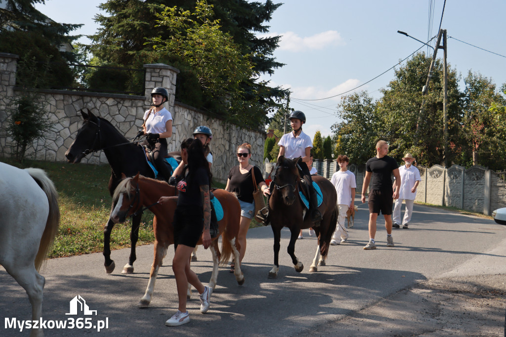 Fotorelacja Niegowa I: Dożynki Powiatowo Gminne