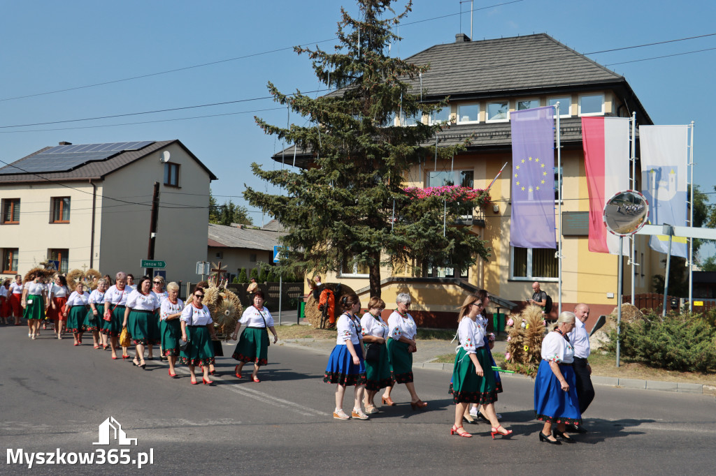 Fotorelacja Niegowa I: Dożynki Powiatowo Gminne