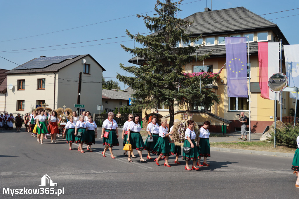 Fotorelacja Niegowa I: Dożynki Powiatowo Gminne