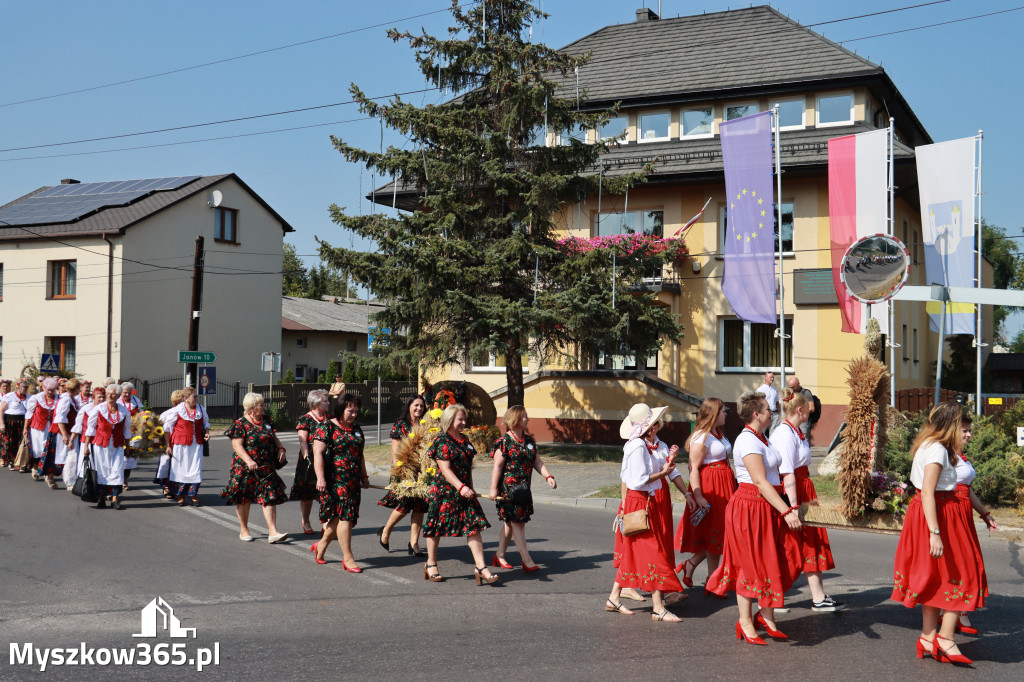 Fotorelacja Niegowa I: Dożynki Powiatowo Gminne