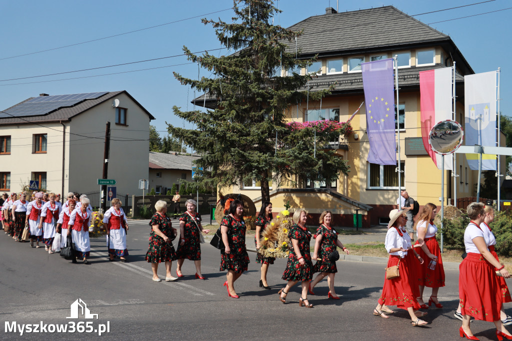 Fotorelacja Niegowa I: Dożynki Powiatowo Gminne