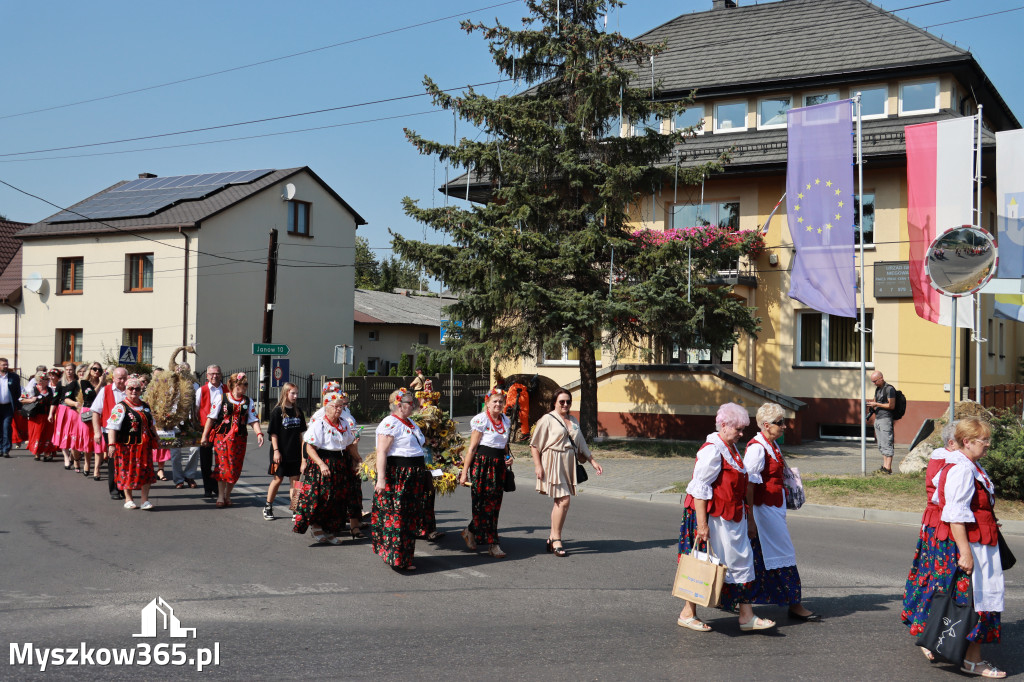 Fotorelacja Niegowa I: Dożynki Powiatowo Gminne