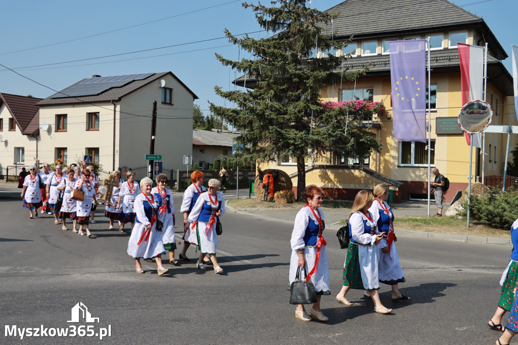 Fotorelacja Niegowa I: Dożynki Powiatowo Gminne