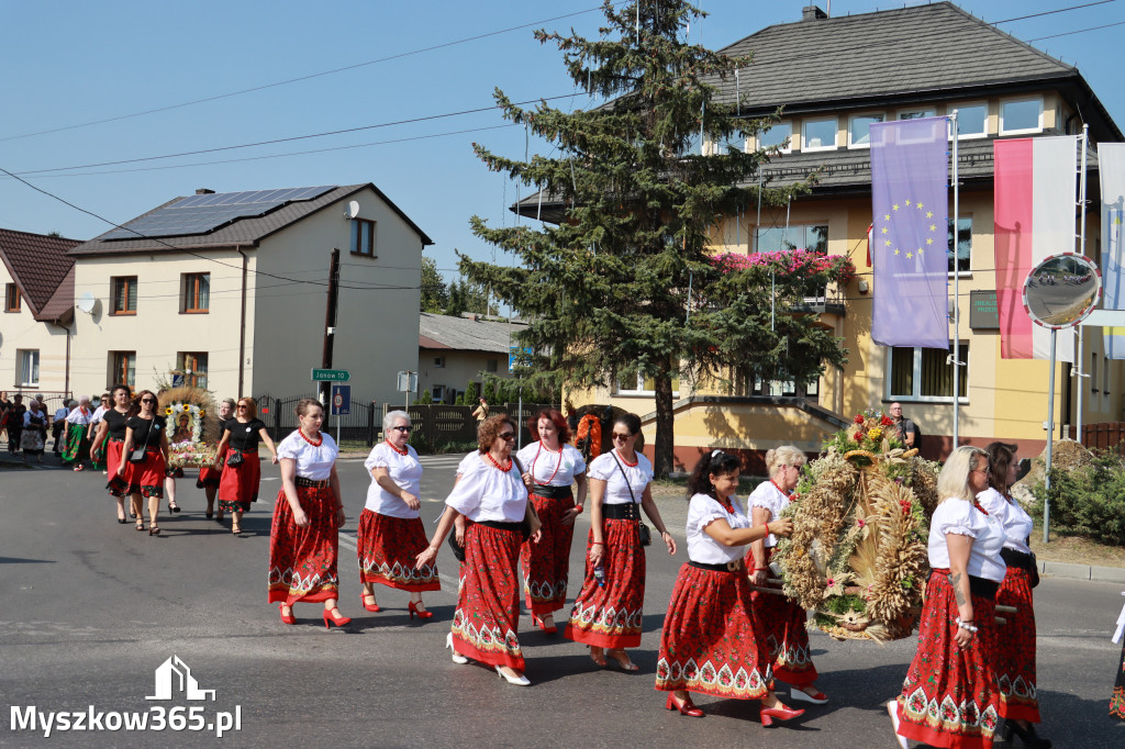 Fotorelacja Niegowa I: Dożynki Powiatowo Gminne