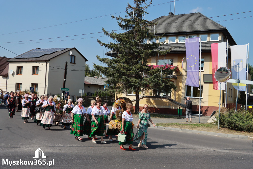 Fotorelacja Niegowa I: Dożynki Powiatowo Gminne