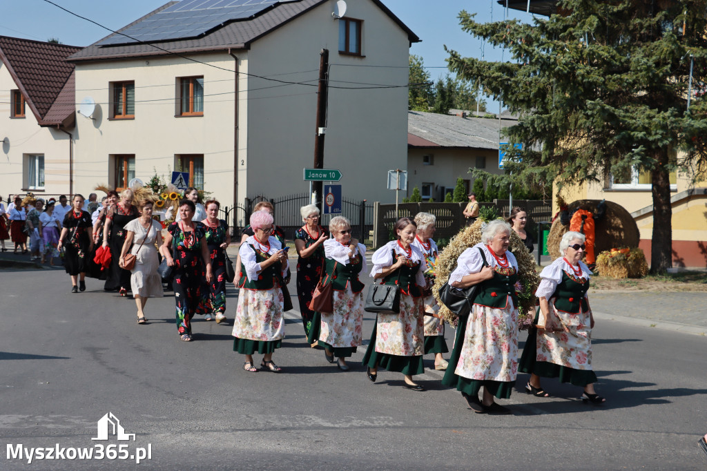 Fotorelacja Niegowa I: Dożynki Powiatowo Gminne