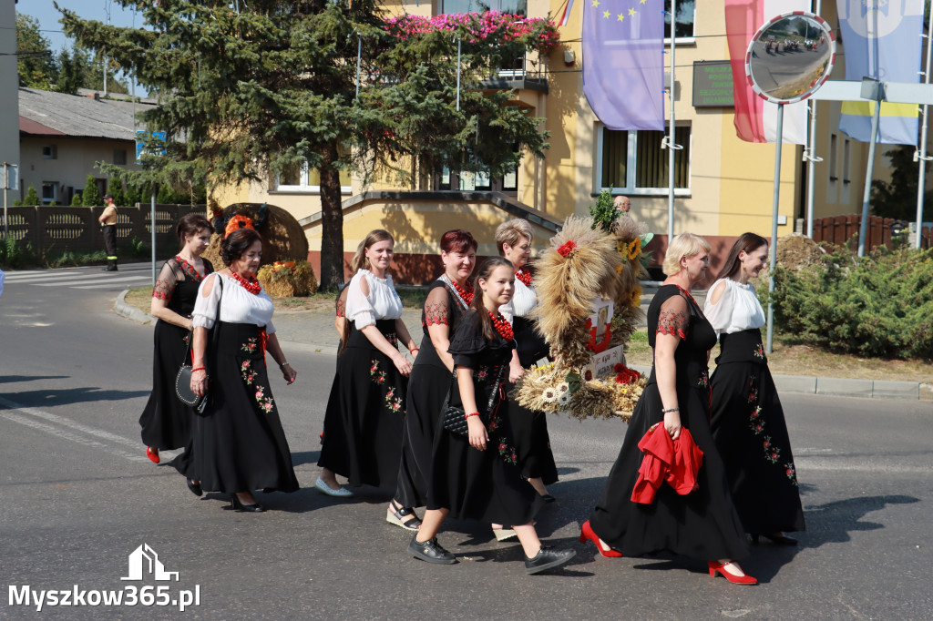 Fotorelacja Niegowa I: Dożynki Powiatowo Gminne