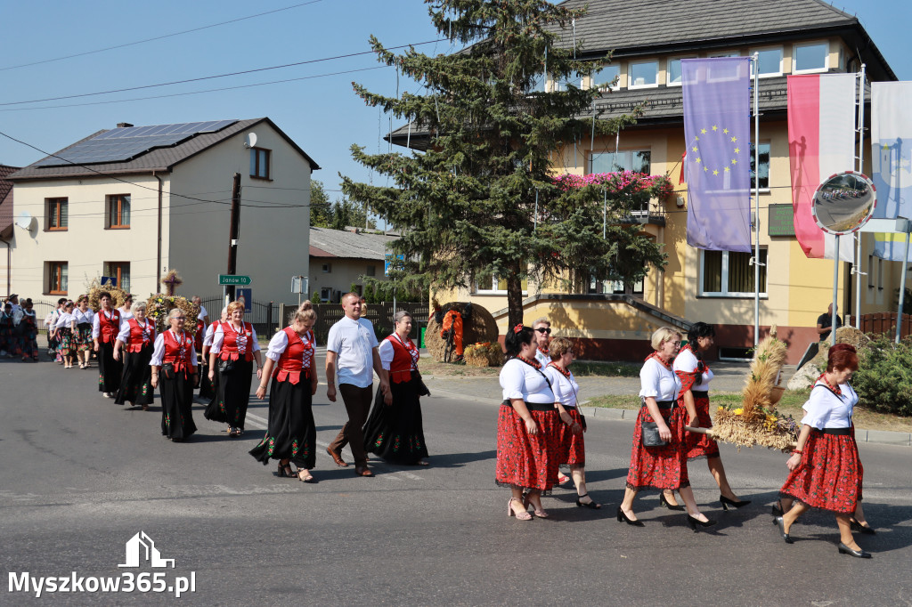 Fotorelacja Niegowa I: Dożynki Powiatowo Gminne