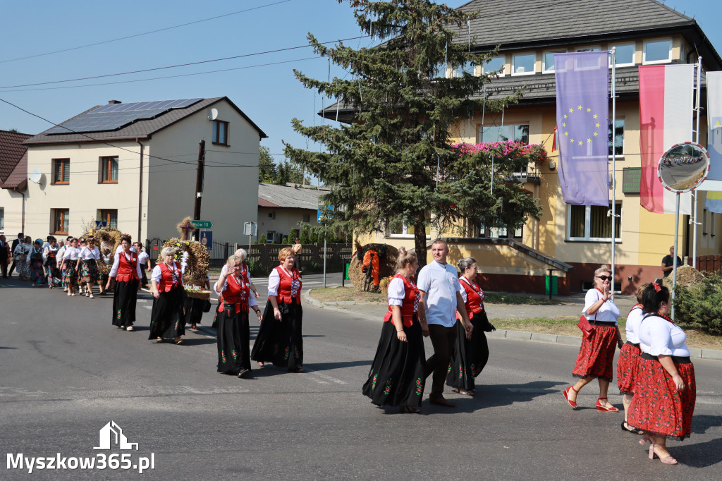 Fotorelacja Niegowa I: Dożynki Powiatowo Gminne