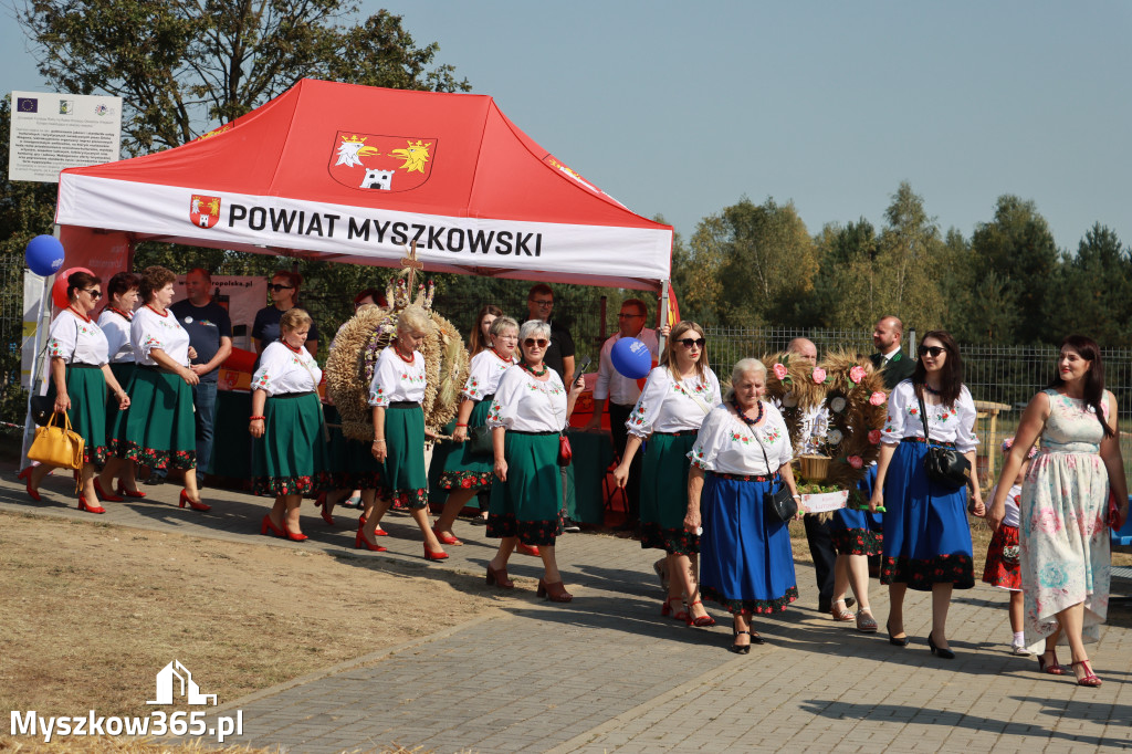 Fotorelacja Niegowa I: Dożynki Powiatowo Gminne