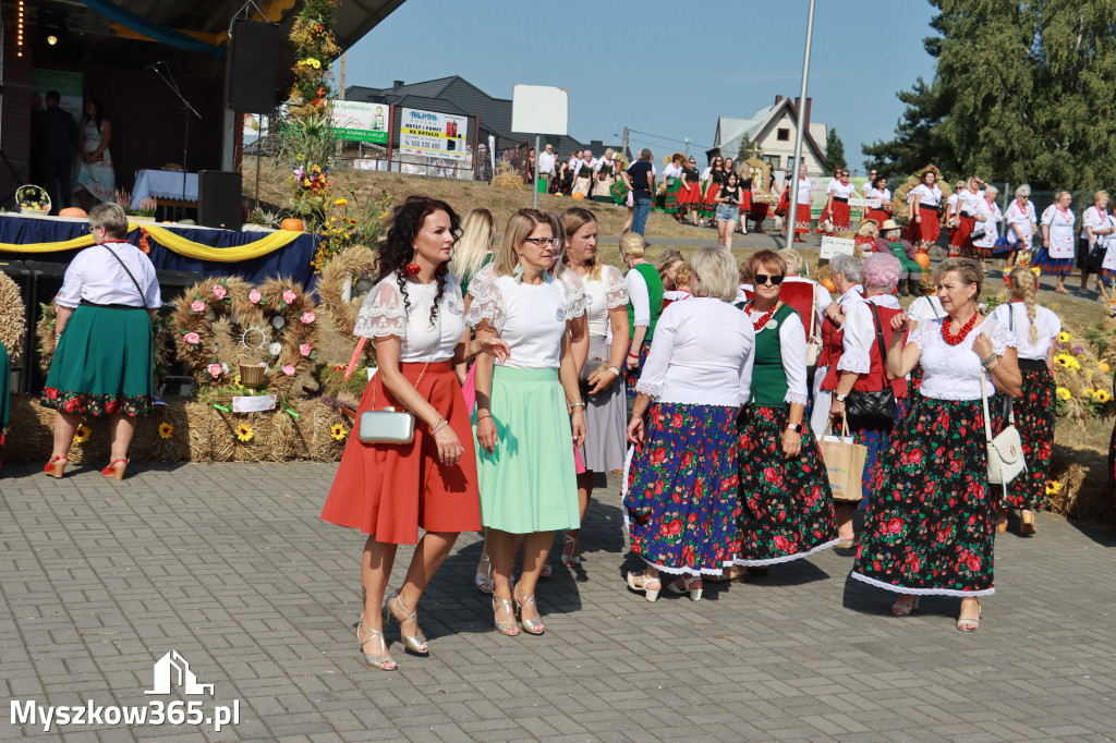 Fotorelacja Niegowa I: Dożynki Powiatowo Gminne