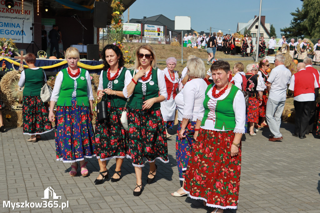 Fotorelacja Niegowa I: Dożynki Powiatowo Gminne