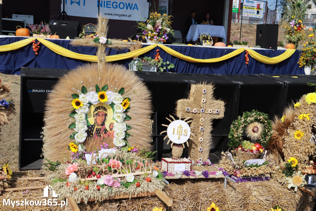 Fotorelacja Niegowa II: Dożynki Powiatowo Gminne