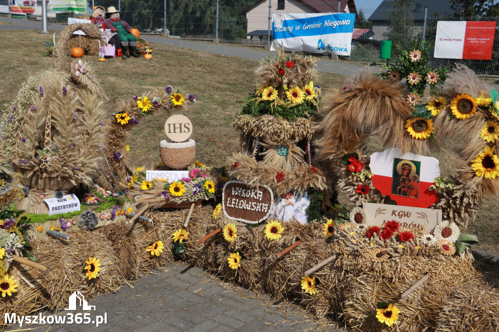 Fotorelacja Niegowa II: Dożynki Powiatowo Gminne