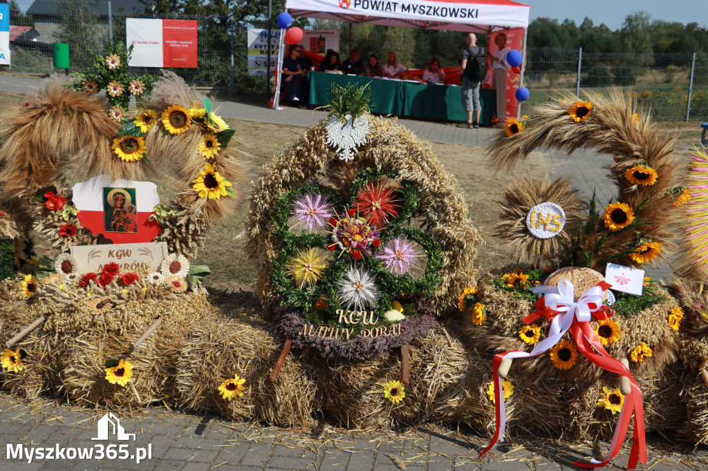 Fotorelacja Niegowa II: Dożynki Powiatowo Gminne