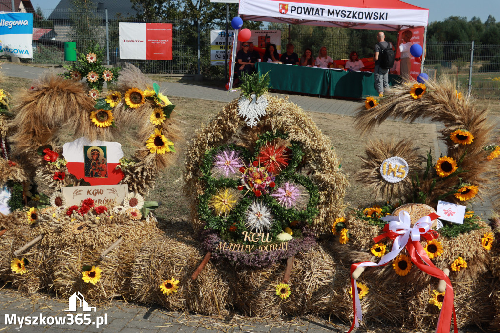 Fotorelacja Niegowa II: Dożynki Powiatowo Gminne