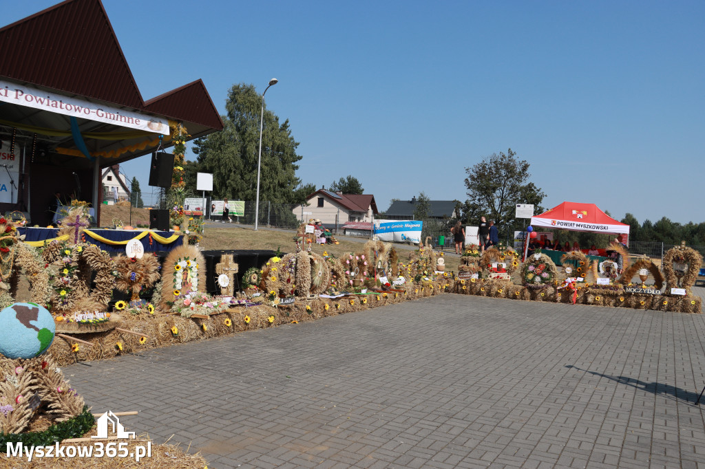 Fotorelacja Niegowa II: Dożynki Powiatowo Gminne