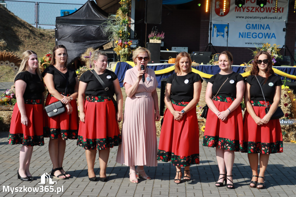 Fotorelacja Niegowa II: Dożynki Powiatowo Gminne