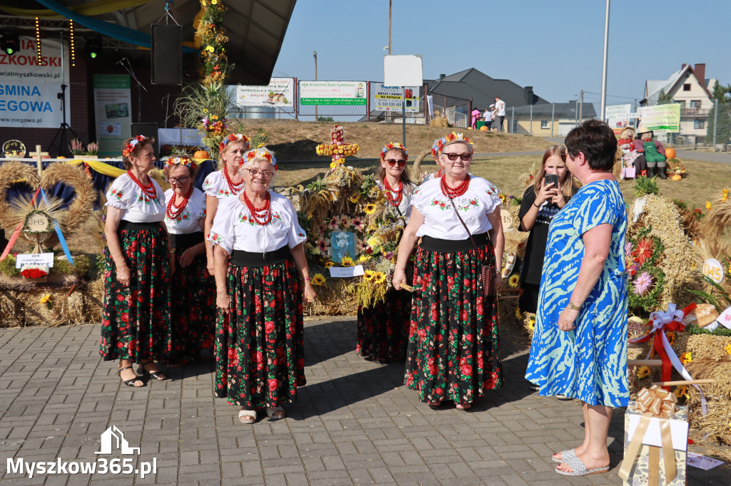 Fotorelacja Niegowa II: Dożynki Powiatowo Gminne