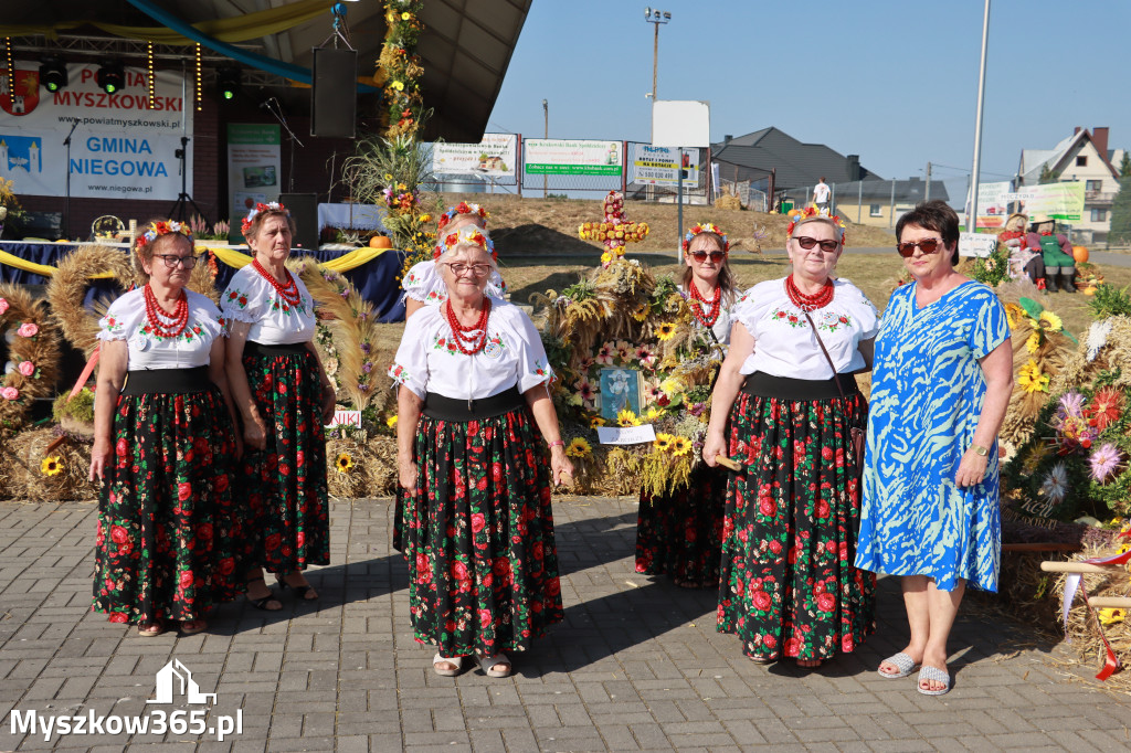 Fotorelacja Niegowa II: Dożynki Powiatowo Gminne